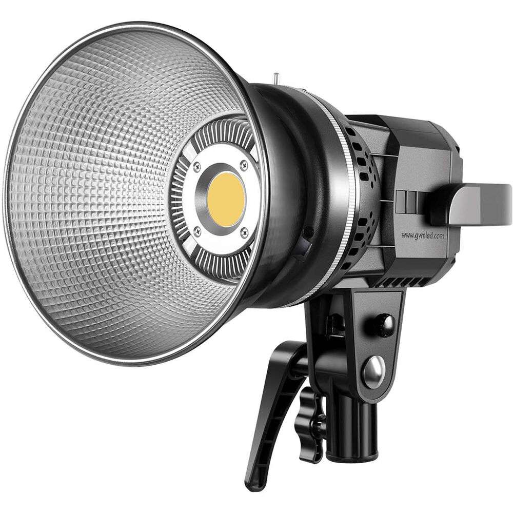 GVM LED Video Soft Light (Daylight-Balanced) LS-p80s LED 2-Light Kit ...